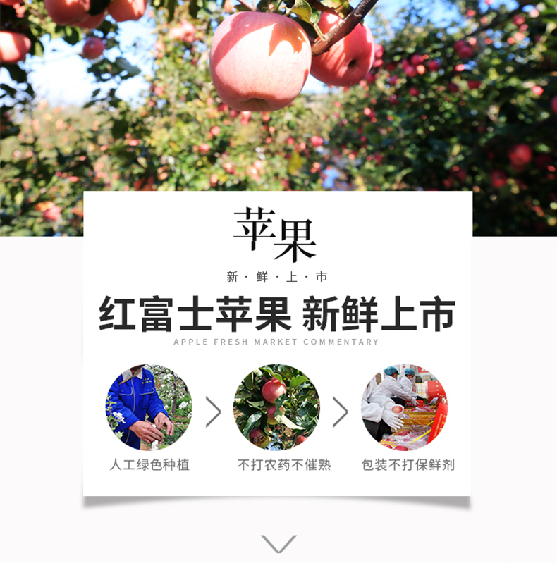 未标题-3_05.jpg