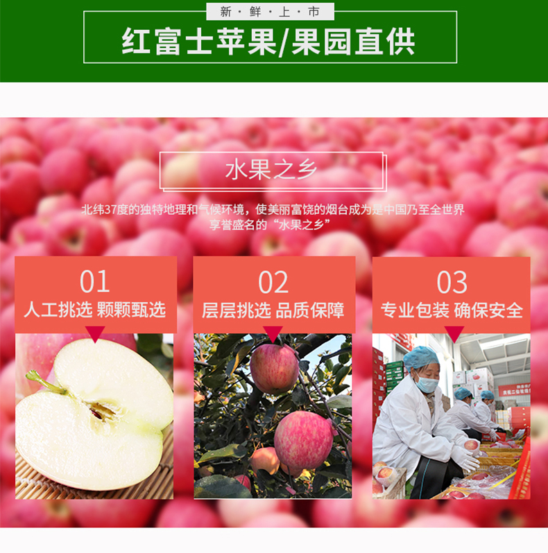 未标题-3_07.jpg