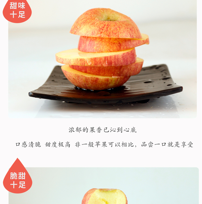 未标题-3_14.jpg