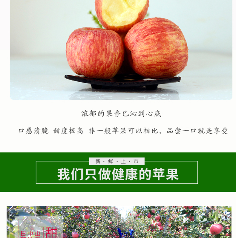 未标题-3_15.jpg