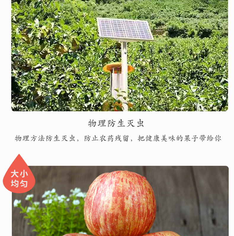 未标题-3_10.jpg