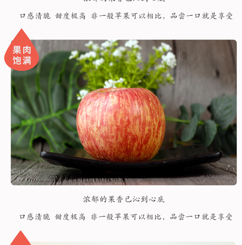 未标题-3_13.jpg