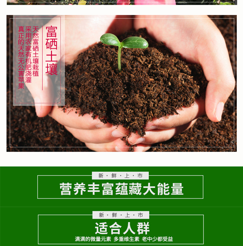 未标题-3_17.jpg