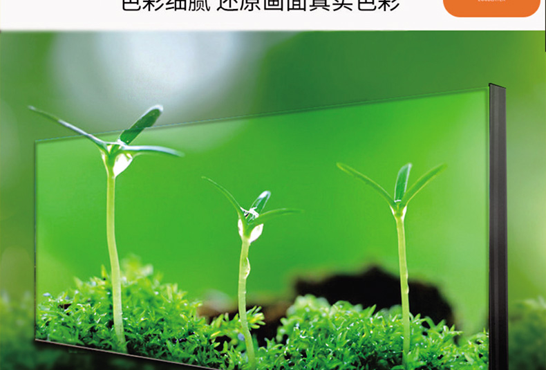 未标题-3_16.jpg