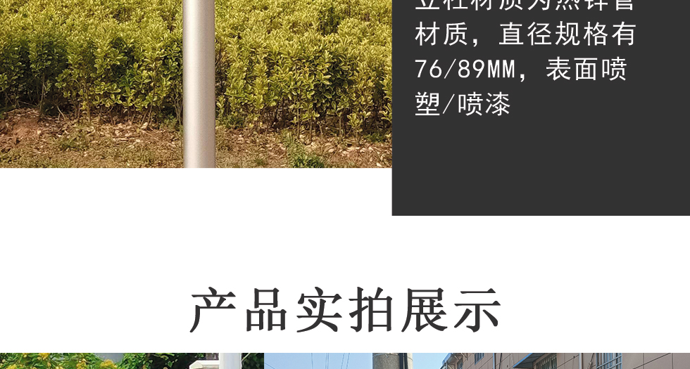 636ded9d41ed0.jpg